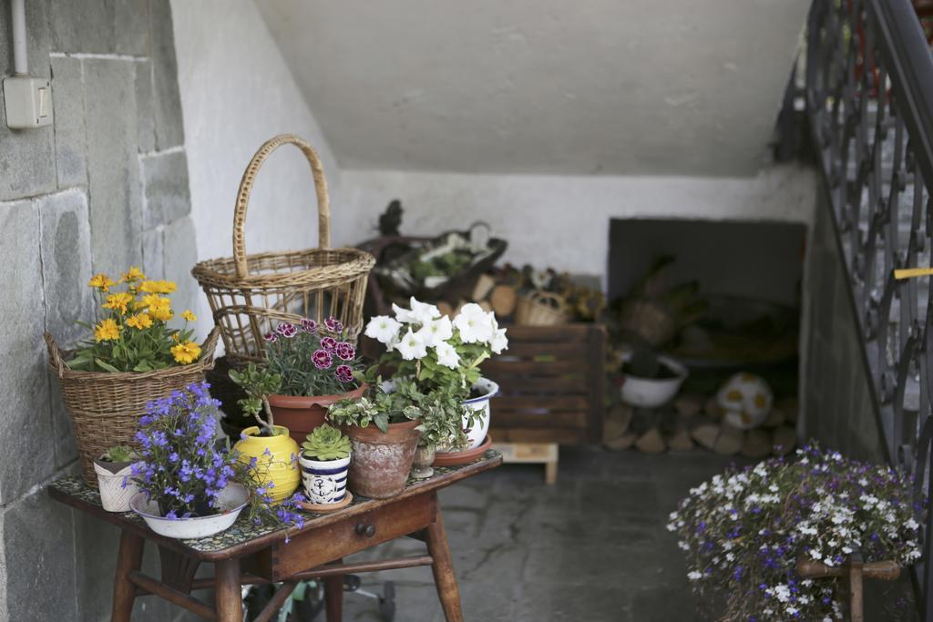 B&B La Gerbolina San Giusto Canavese Eksteriør bilde